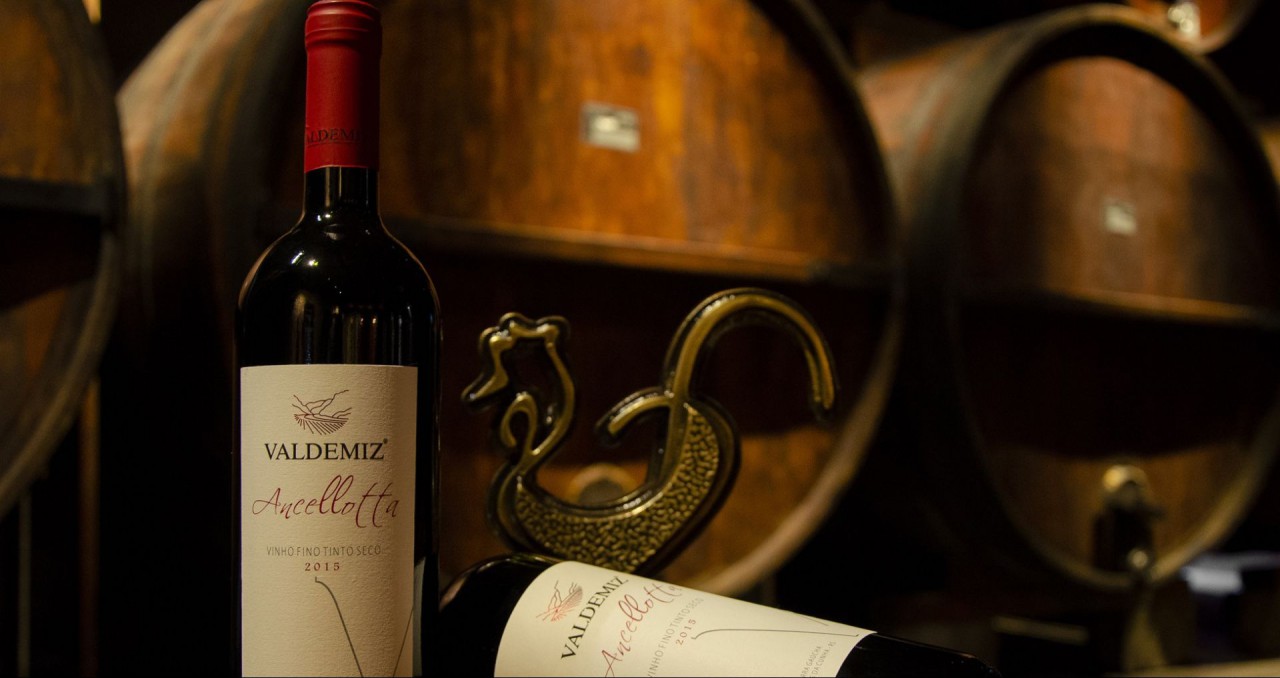 Ancellotta é uma das apostas da vinícola Monte Reale
