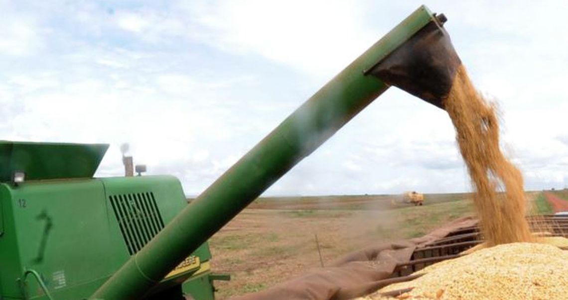 IBGE prevê safra de grãos 1,7% maior no próximo ano