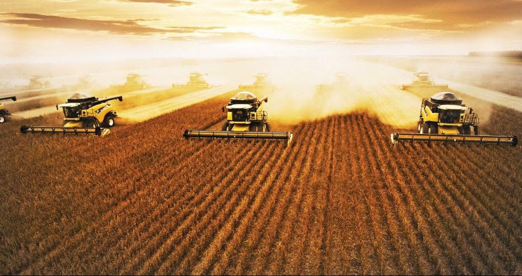 Valor da produção agropecuária foi de R$ 527,9 bilhões em 2016