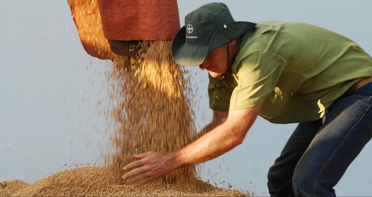 PIB do Paraná cresceu 2,5% em 2017