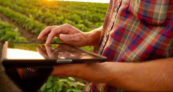A transformação digital da agricultura