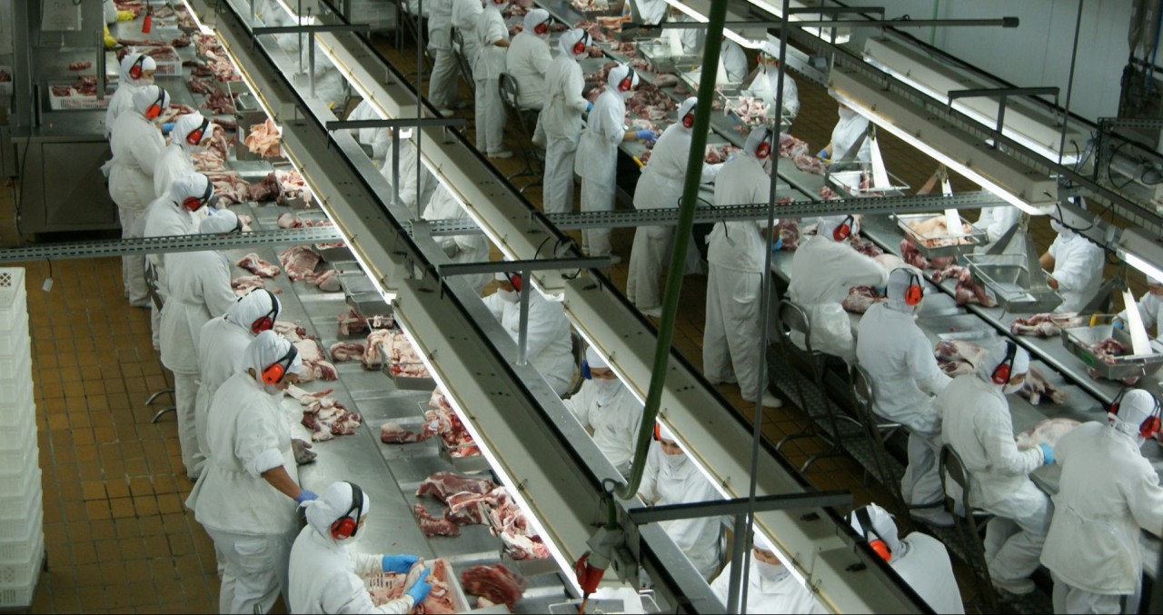 SC amplia exportações de carnes em maio