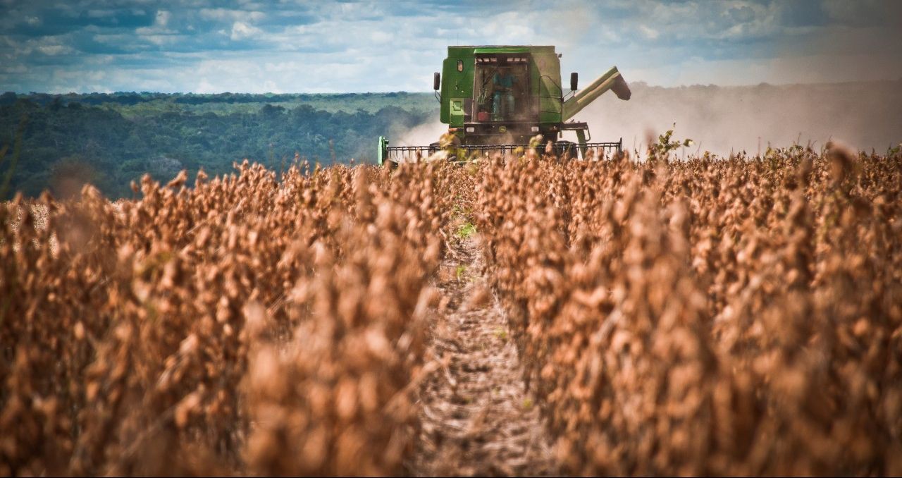 Brasil terá crescimento de 30% na safra de grãos em uma década