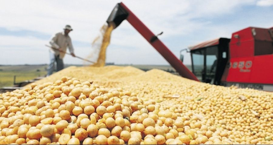 Em dez anos, Brasil deve ultrapassar os EUA na produção de soja